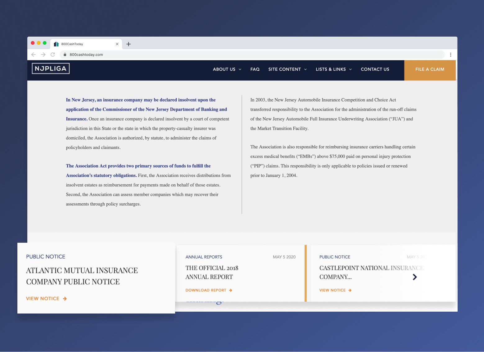 NJPLIGA homepage design showing public notices and annual report cards in a browser window.