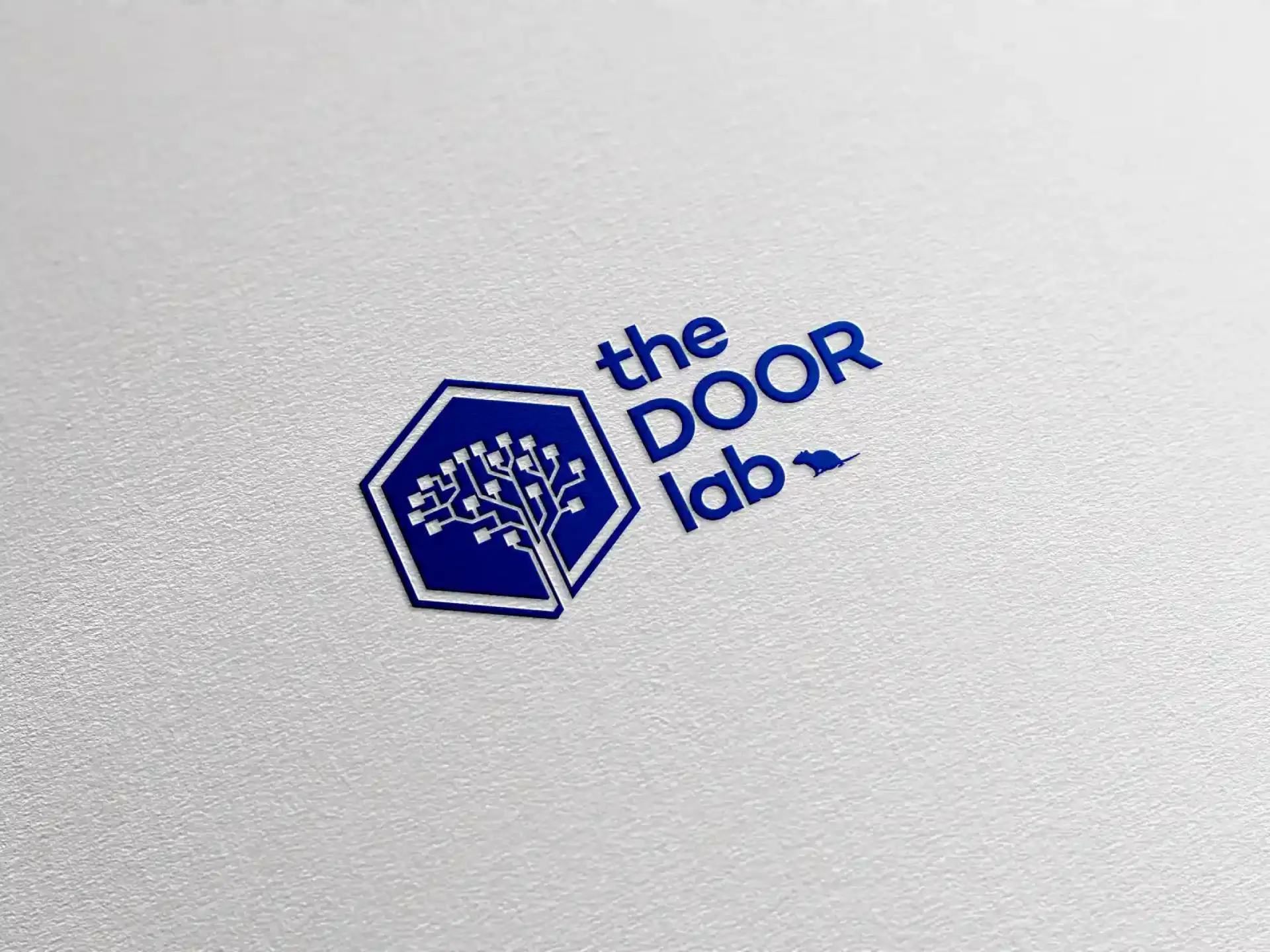 The DOOR Lab brand identity and website before and after redesign.